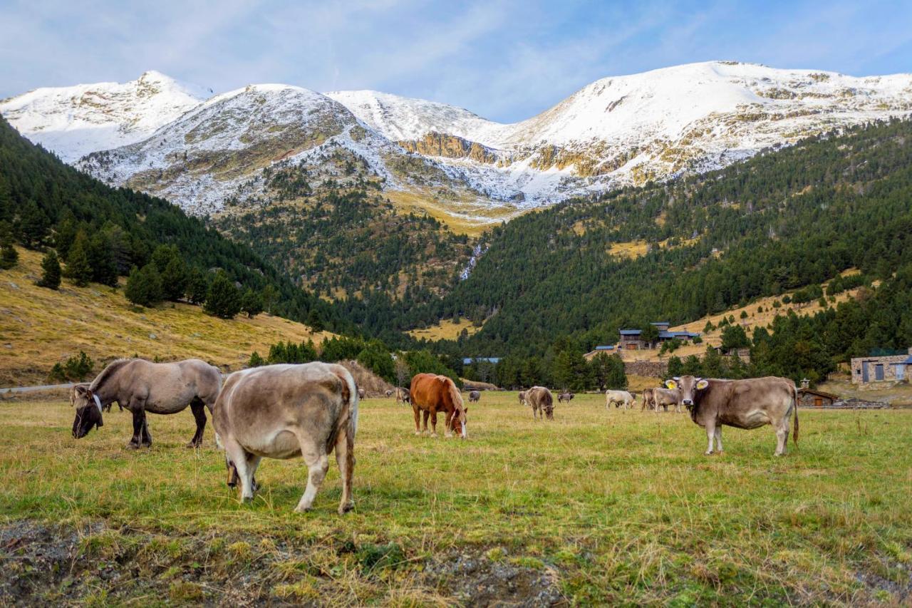 R Valle De Incles-Grandvalira Free Parking 卡尼略 外观 照片